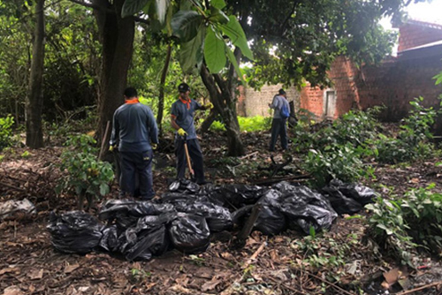 Semam inicia ações de combate a dengue em parques municipais de Teresina