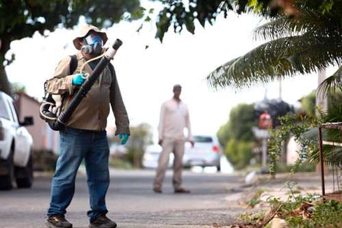 Dengue: Goiânia registra 25 mortes em 2022; maior número desde 2015