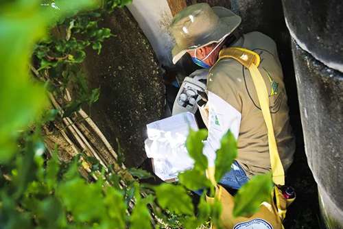 Casos de dengue no Brasil crescem quase 185% neste ano