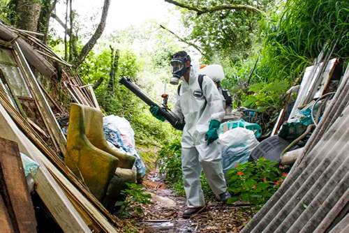 Brasil bate recorde anual de mortes por dengue em 2022