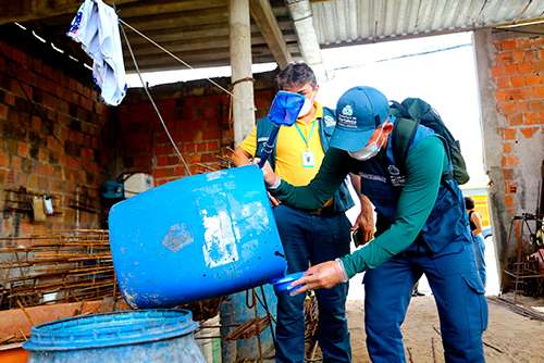 Fortaleza teve mais de 16 mil casos de dengue e 20 de mil de chikungunya em 2022